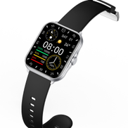 Platinum HALE V Smart Watch with BT Calling - Silver