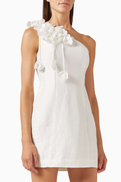 Aje Camille Mini Dress in Linen-viscose