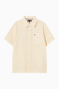 Tommy Hilfiger Stripe Shirt in Cotton