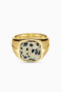 Luv Aj The Palma Signet Ring in 14kt Gold-plated Brass